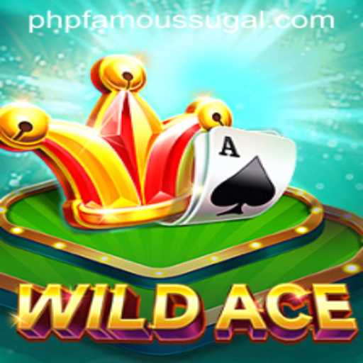 WildAce: The Thrilling New Adventure in the Gaming World